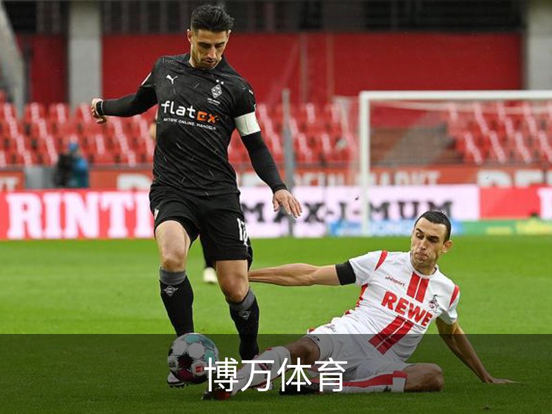 关于博万体育